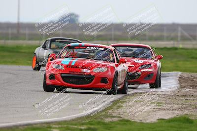 media/Feb-23-2024-CalClub SCCA (Fri) [[1aaeb95b36]]/Group 1/Qualifying (Star Mazda)/